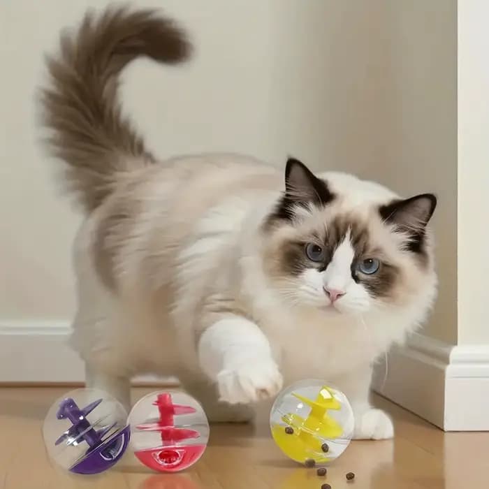 Jouet distributeur de friandises pour chat