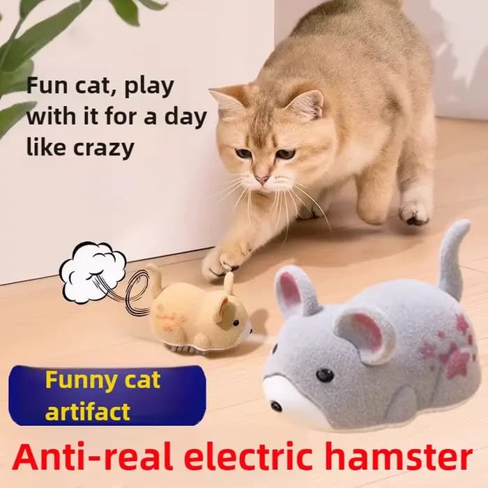 Jouet interactif pour chat