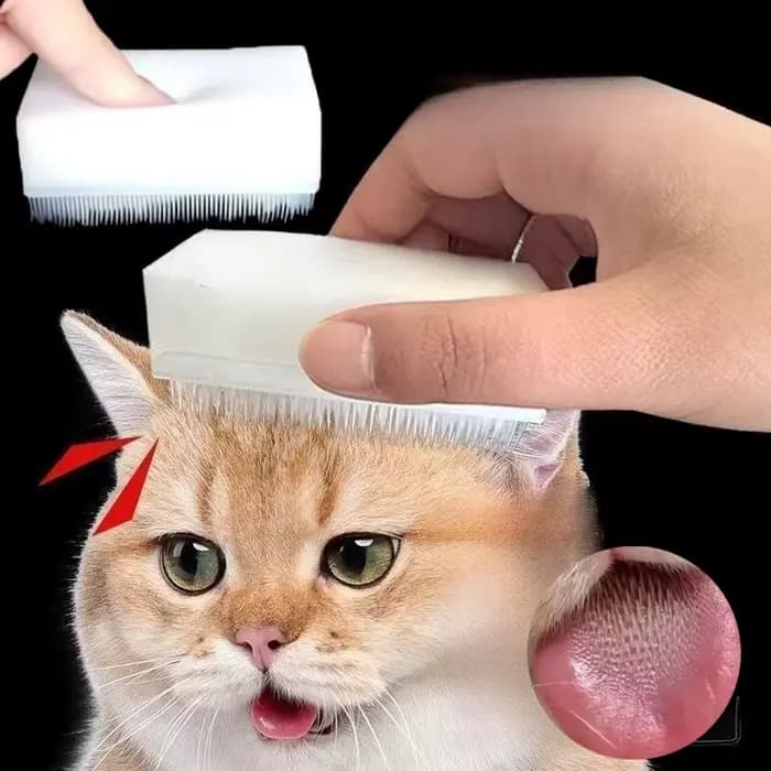 Brosse de Massage pour chat