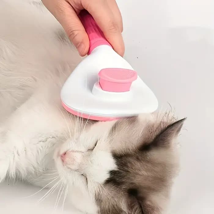 Brosse de toilettage pour chiens et chats