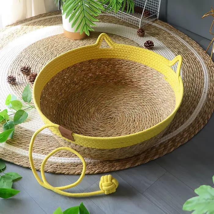 Maison pour chat, niche pour chien