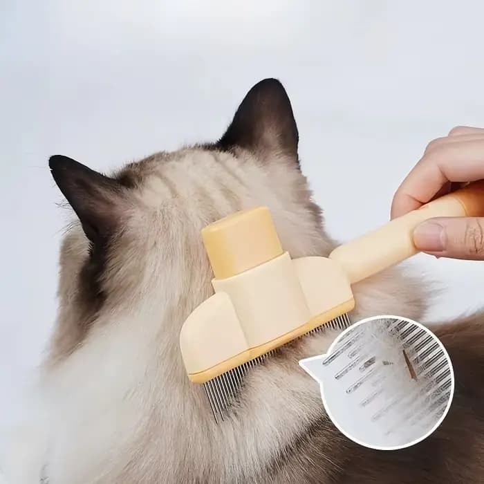 Brosse de Massage de toilettage pour chat