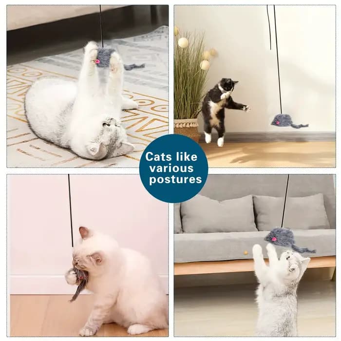 Jouet de Face de Porte pour Chat