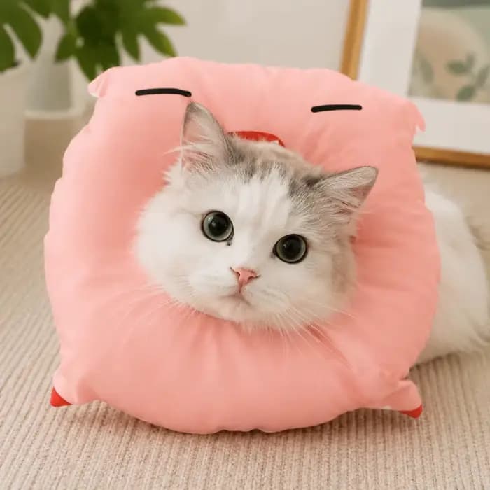 Collier éлизабетанский réglable pour chat