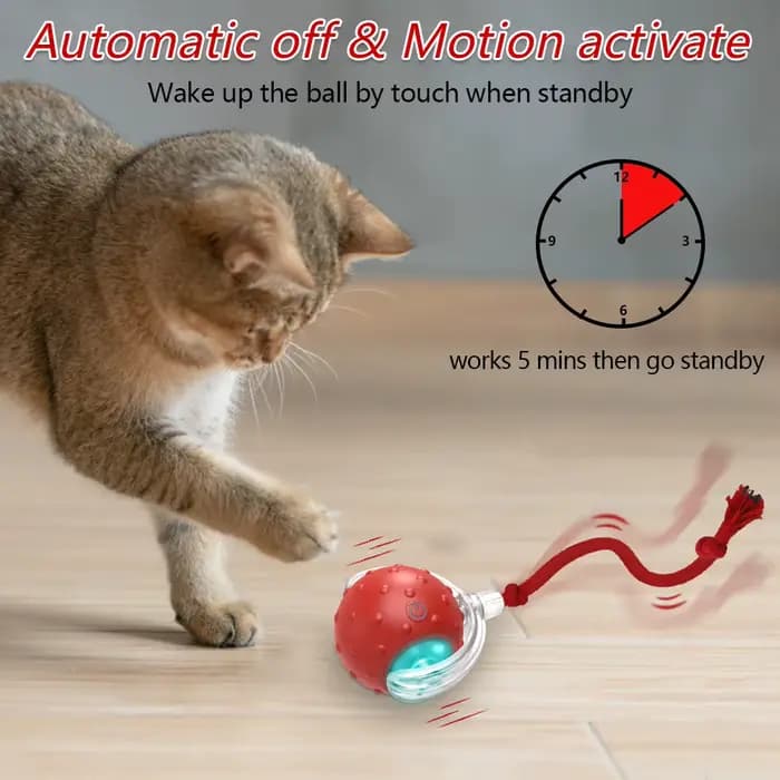 Balle jouet interactive pour chat avec oiseaux