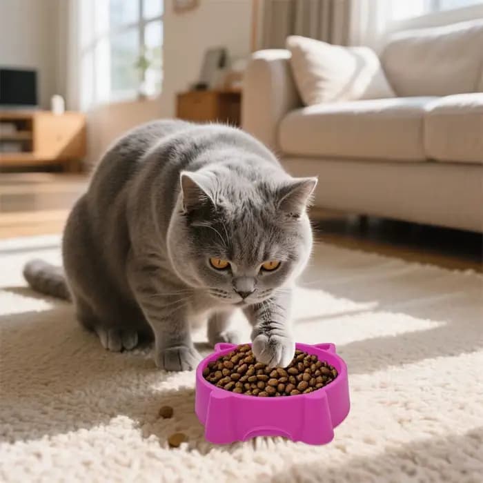 Bol pour animaux de compagnie avec oreilles de chat