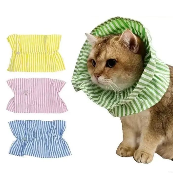 Collier élisabéthain pour animaux compagnie