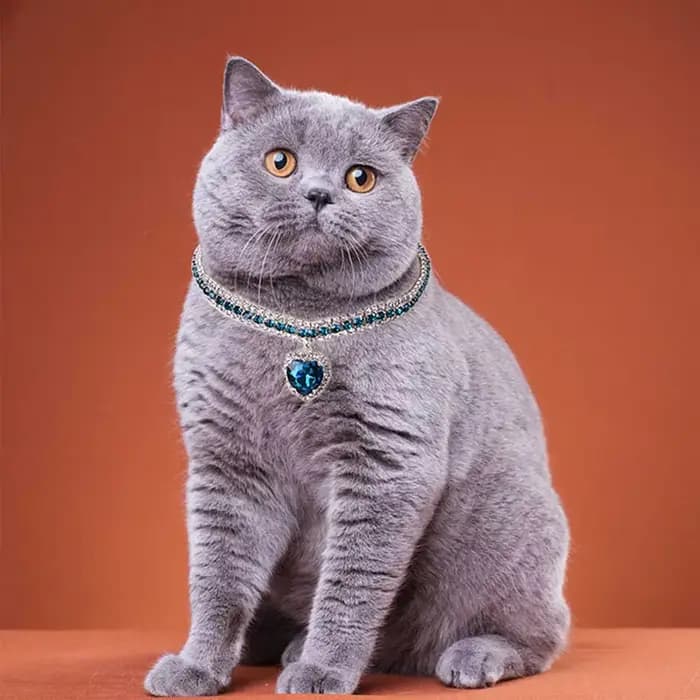 Collier de luxe en cristal pour chat