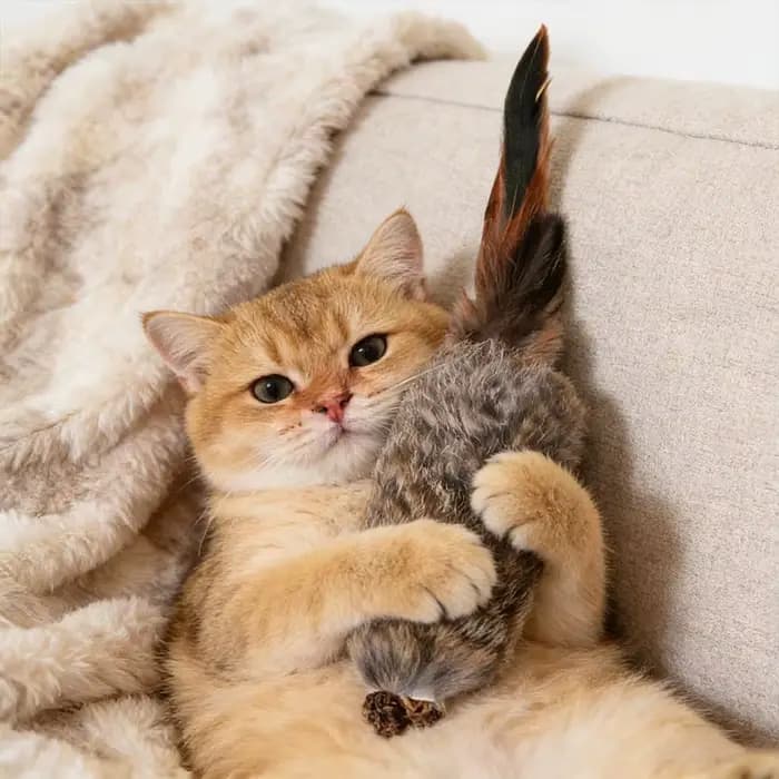 Jouet pour chat en fausse fourrure de lapin