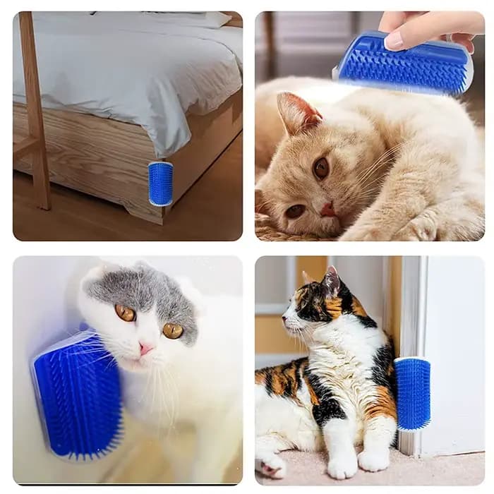 Brosse de Massage pour chat