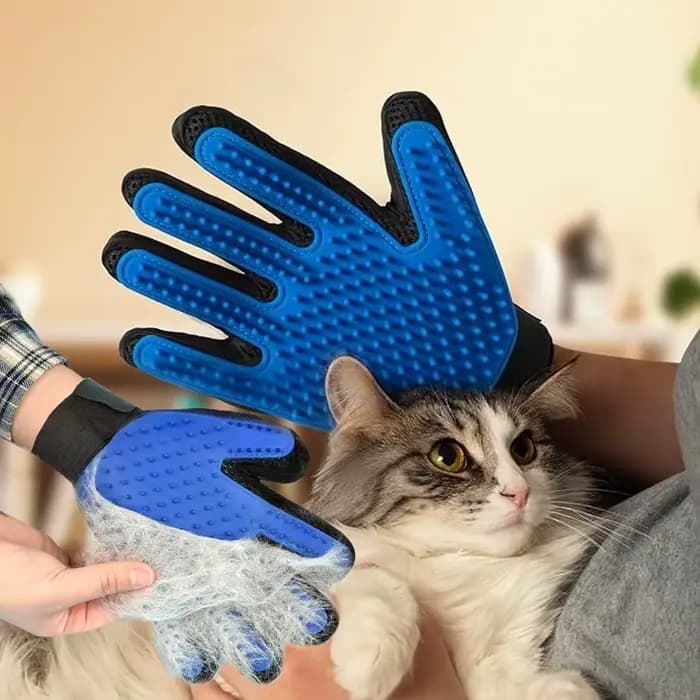 Gants de toilettage pour animaux de compagnie