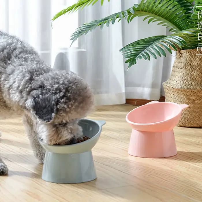 Bol incliné pour nourriture pour chat