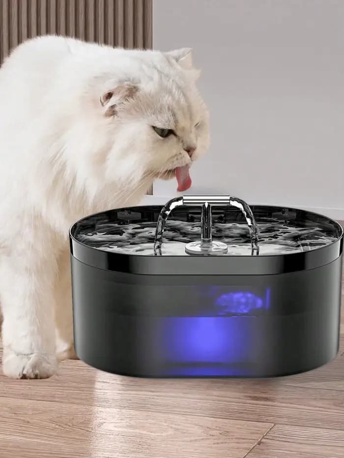 Fontaine à eau ou filtre pour chat
