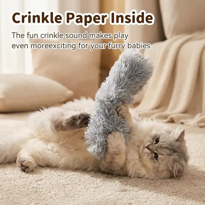 Lot de 3 jouets pour chat : coussinets à herbe à chat