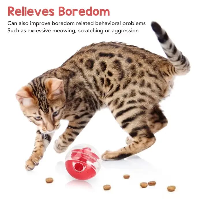 Balle distributrice de nourriture pour chat résistante aux morsures