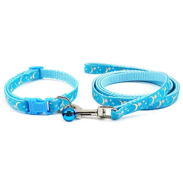 Collier pour chien et chat