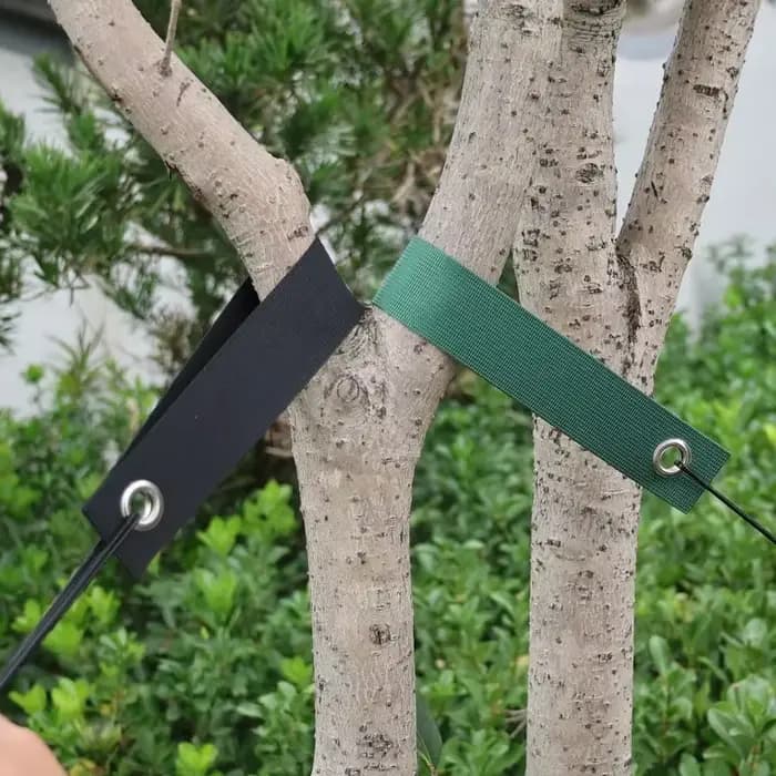 Sangles de Support d'Arbre pour Piquets
