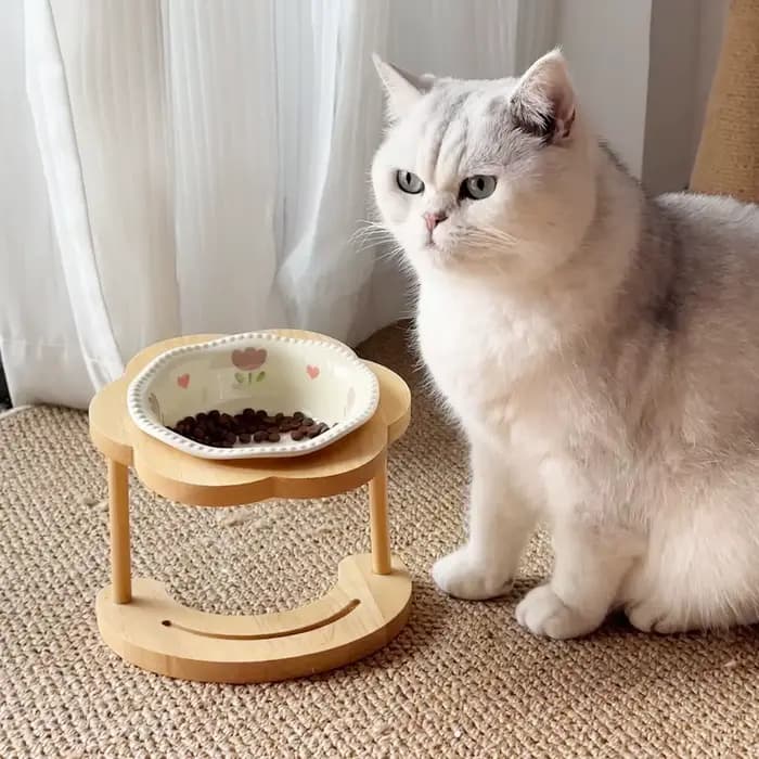 Bols surélevés en céramique pour animaux de compagnie