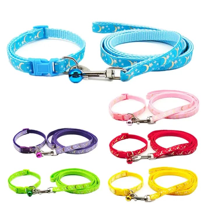 Collier pour chien et chat