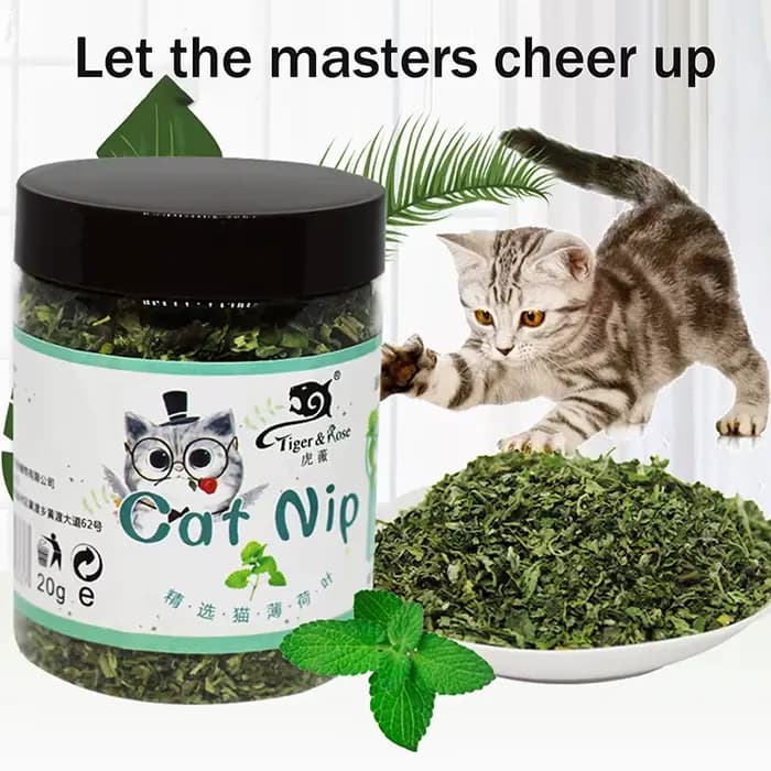 1 pièce de jouet interactif pour chat