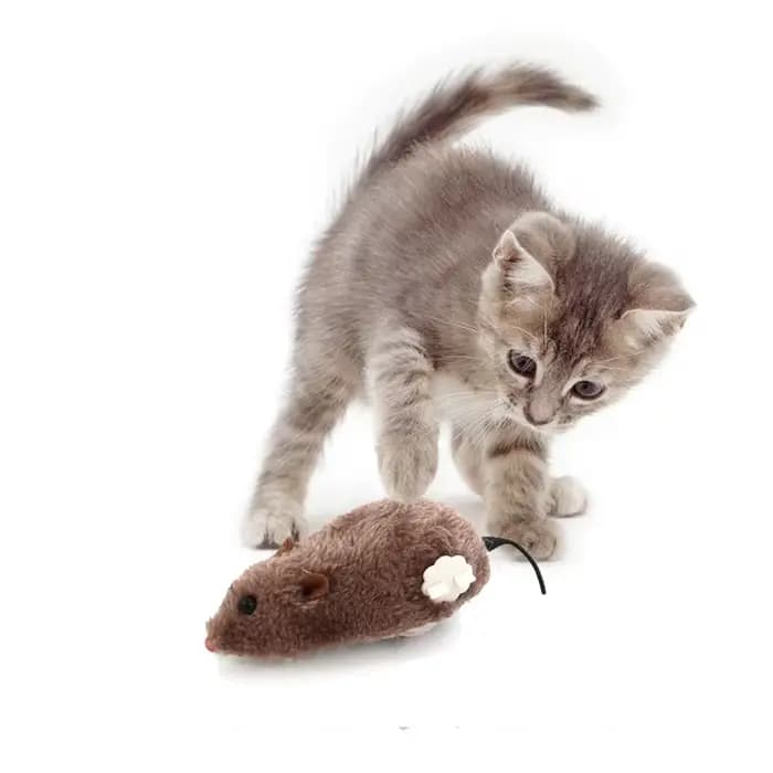 Souris en peluche réaliste et amusante
