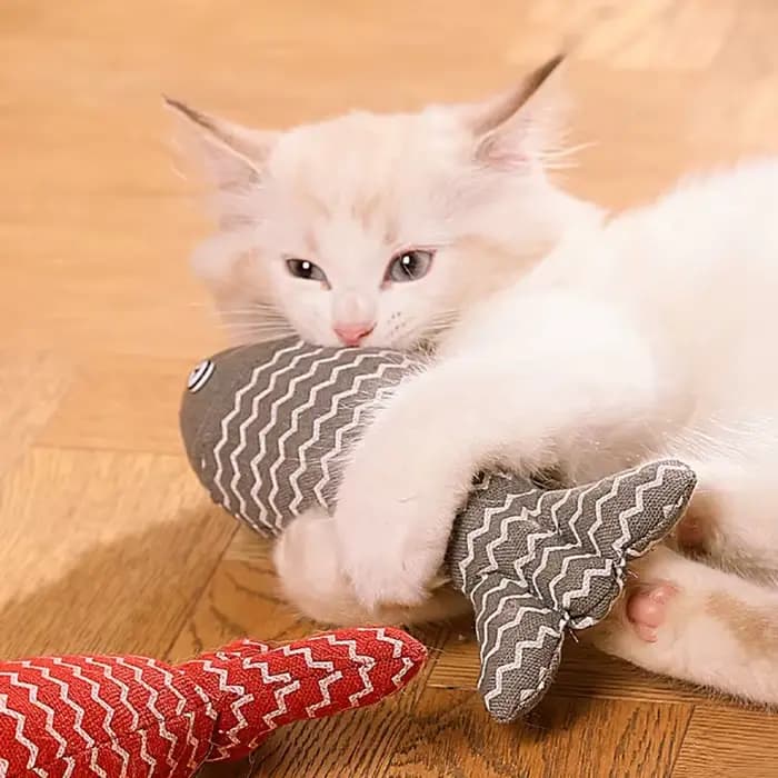 Jouet pour chat en forme de poisson