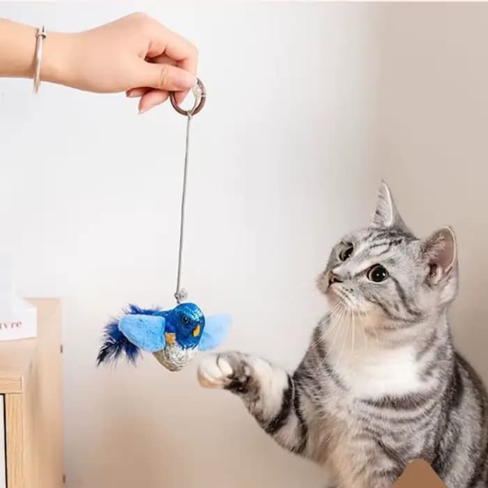 Jouet interactif d'intérieur pour chat