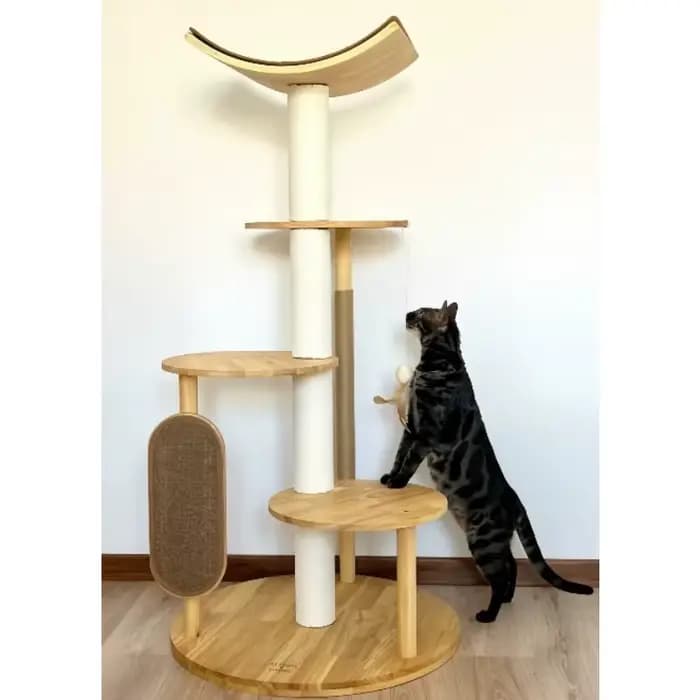 Arbre à chat d'intérieur moderne de luxe en bois courbé avec sisal durable