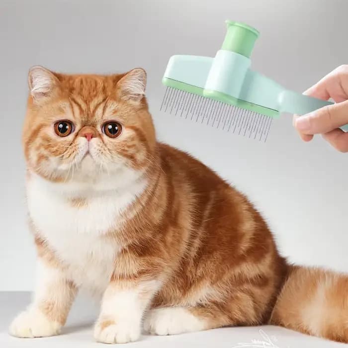 Brosse de toilettage pour chat
