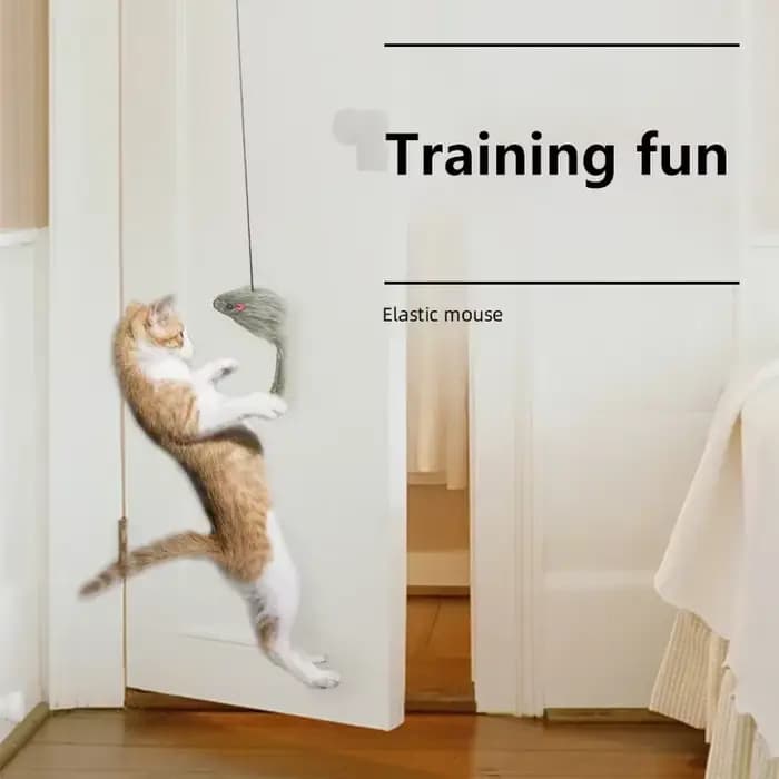 Simulation de souris pour chats