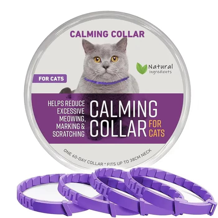 Collier apaisant pour chats
