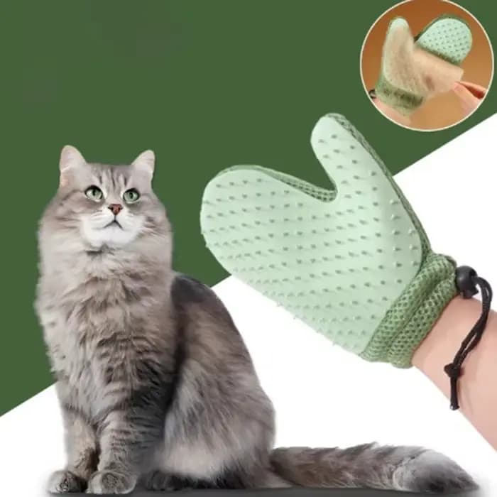 Gant de toilettage pour animaux de compagnie