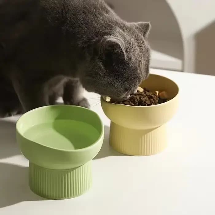 Bol d'eau alimentaire de Style nordique pour chat