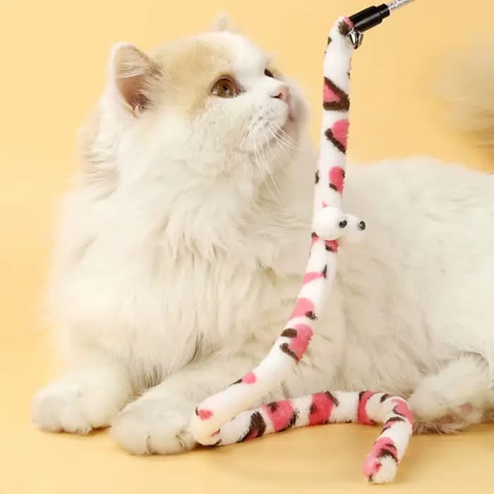 Jouet arc-en-ciel interactif pour chat