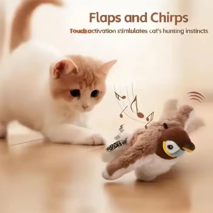 Jouet interactif pour chat