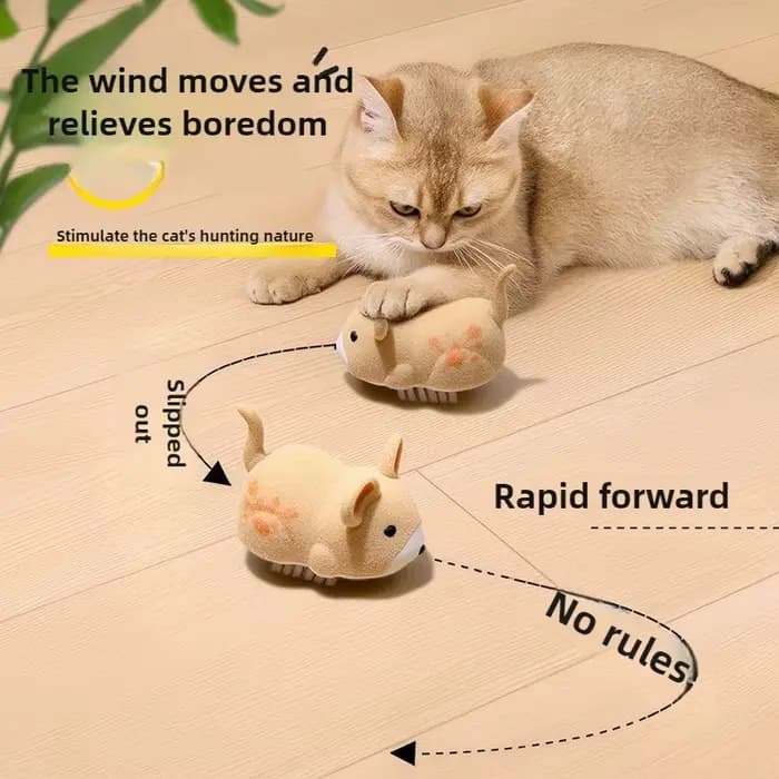 Jouet interactif pour chat