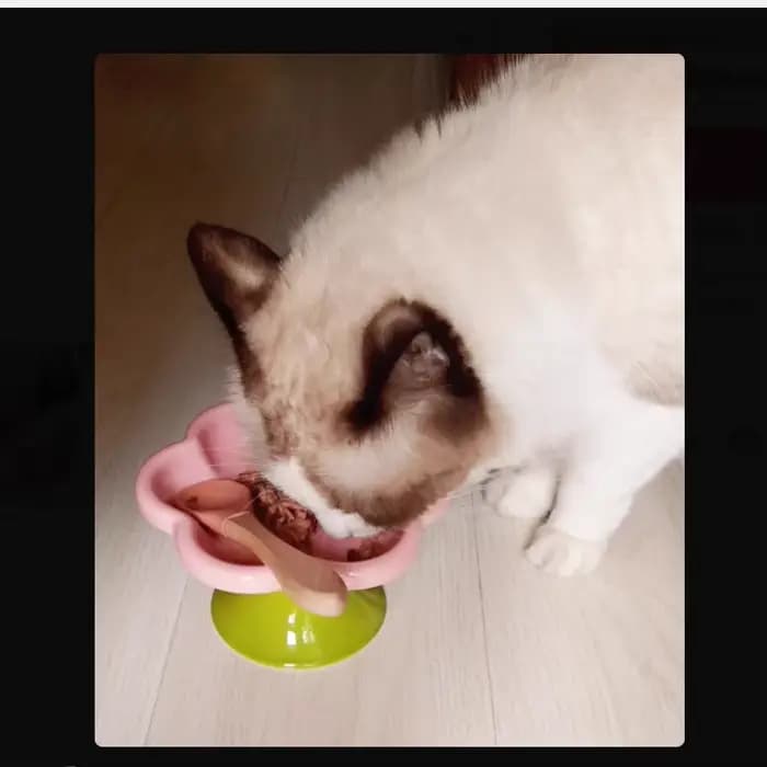 Bol surélevé en céramique pour chat