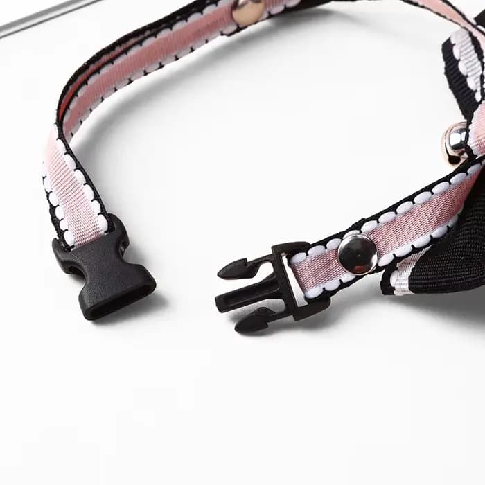 Collier pour chat mignon