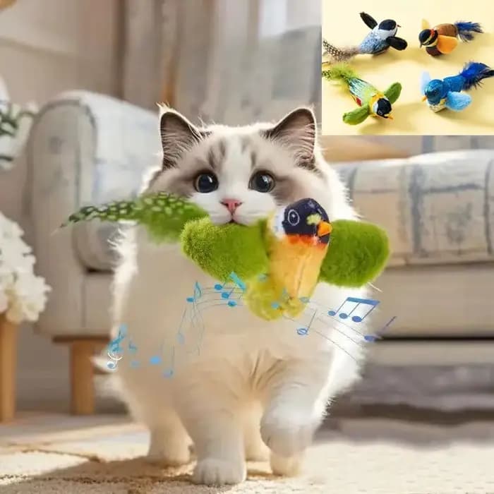 Jouet interactif d'intérieur pour chat