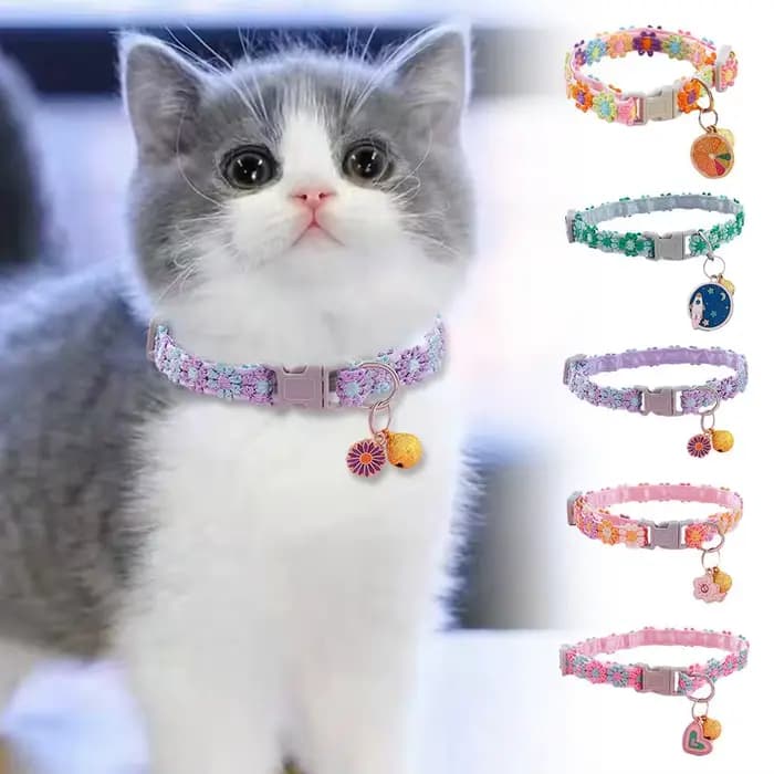 Collier de chat à fleurs arc-en-ciel, avec cloche, chaton, chiot, boucle réglable, dentelle colorée, accessoires pour chiens