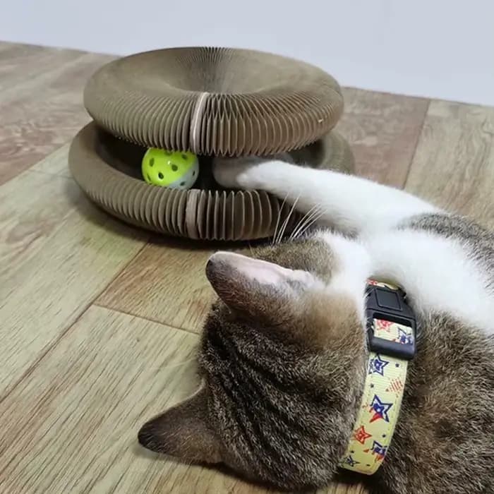 Usine vente chaude interactif chat à gratter carton jouet pliable orgue magique