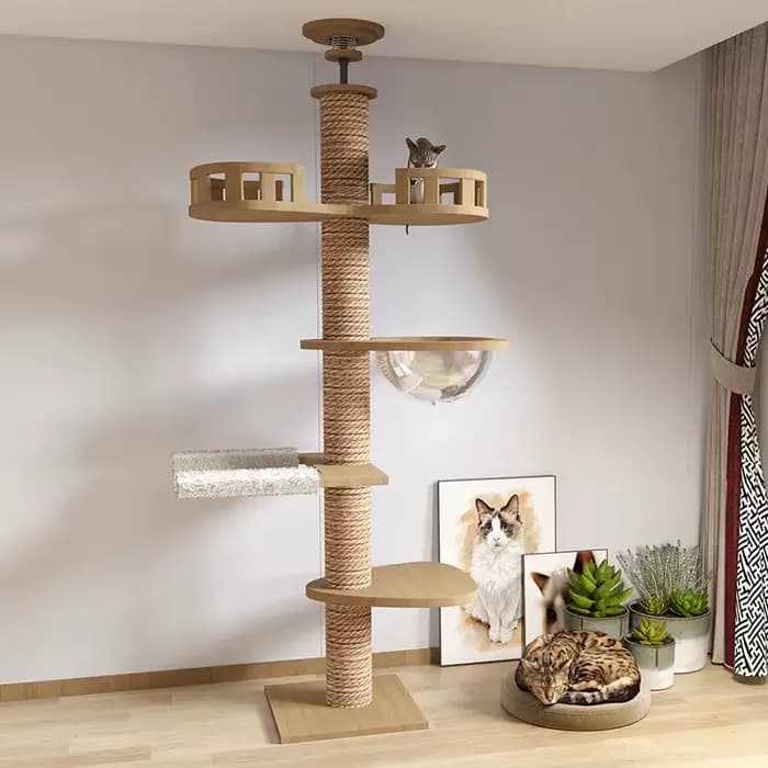 Arbre à chat de haute qualité en bois massif