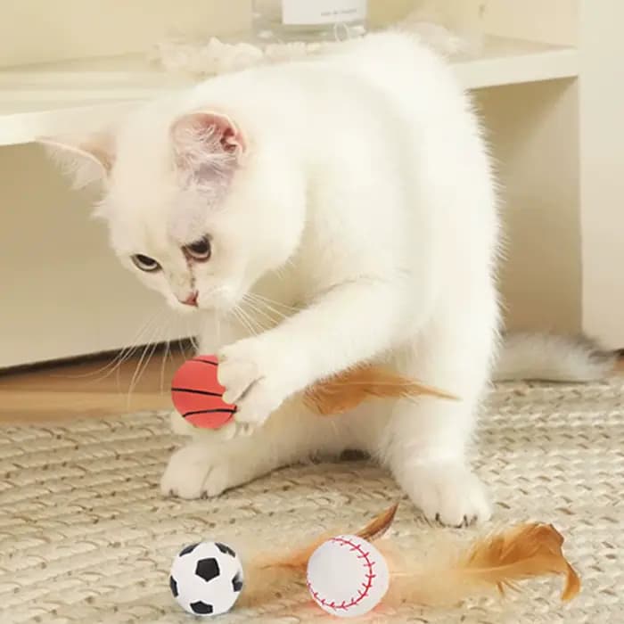 Jouets interactifs de balle de plumes de chat