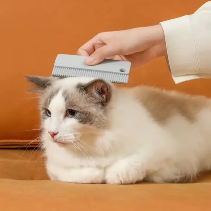 Brosse de nettoyage pour poils d'animaux