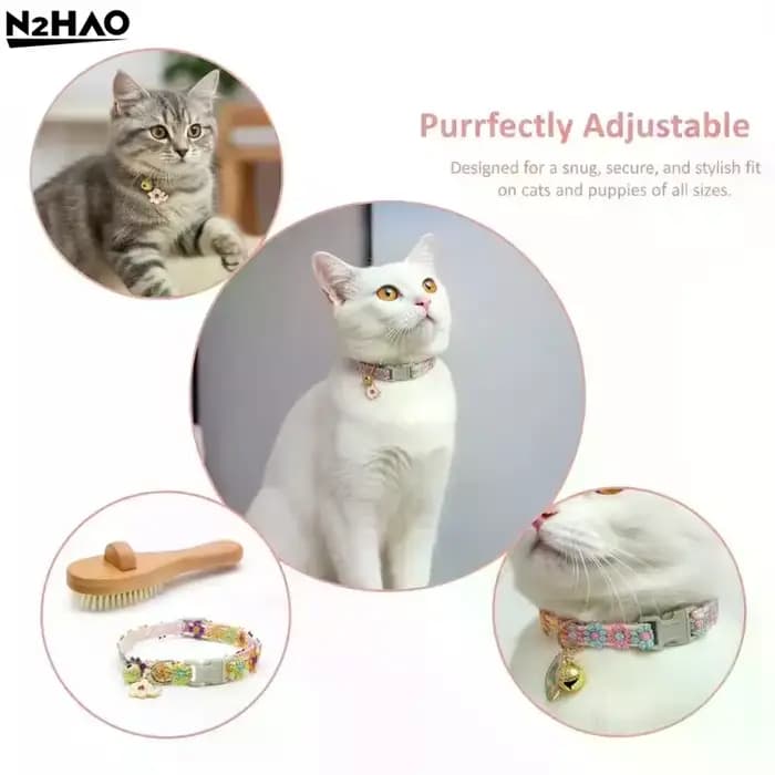Collier pour animaux de compagnie