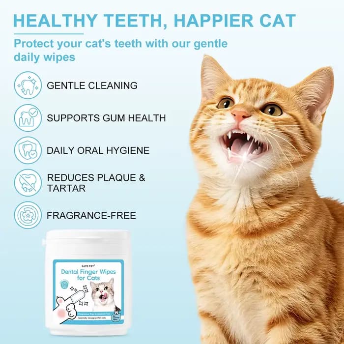 Lingettes nettoyantes pour dents de chat, jetables, double texture 3D, sans brossage, haleine fraîche, éliminateur de plaque et de tartre pour le soin dentaire des chats