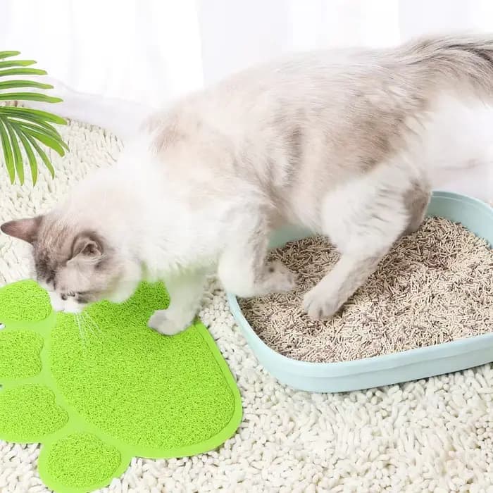 Tapis de litière pour chat