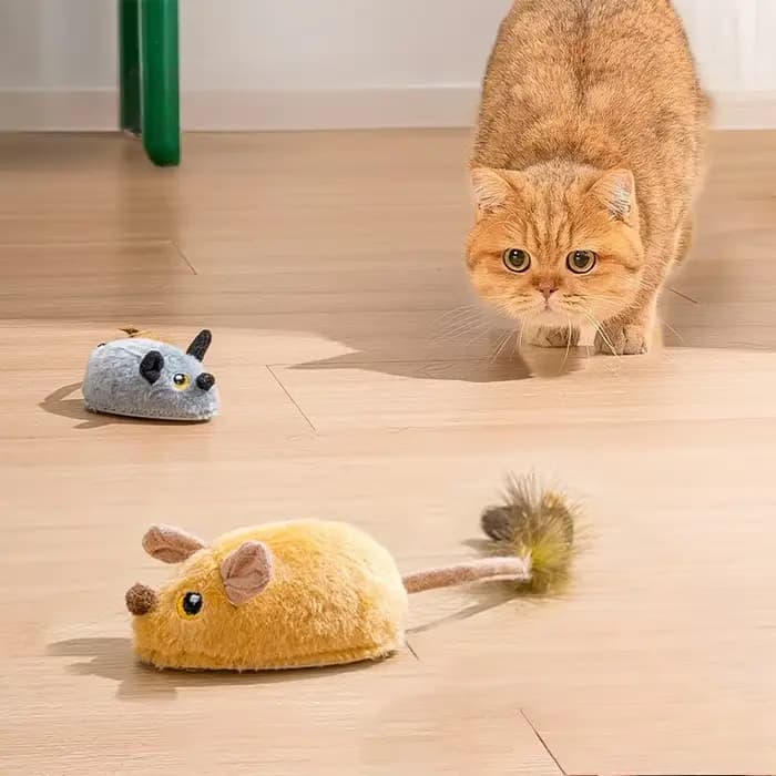 Jouet interactif pour chat