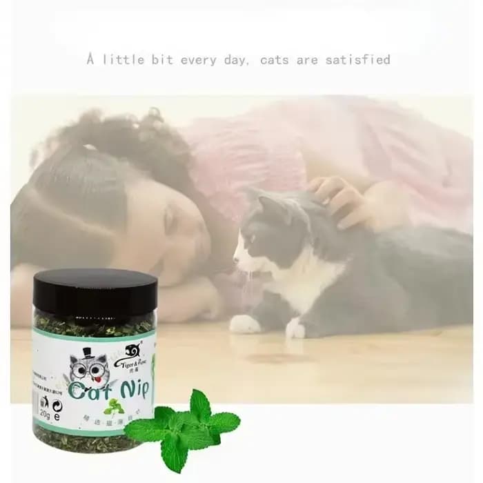 Bio 100% naturel de haute qualité herbe-aux-chats bétail goût de menthe drôle chat jouet nouveau
