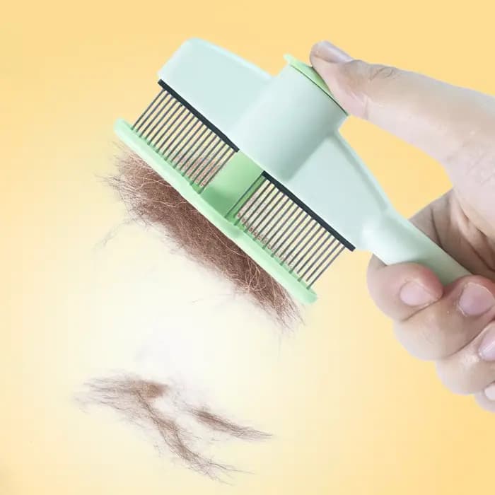 Brosse de toilettage pour chat